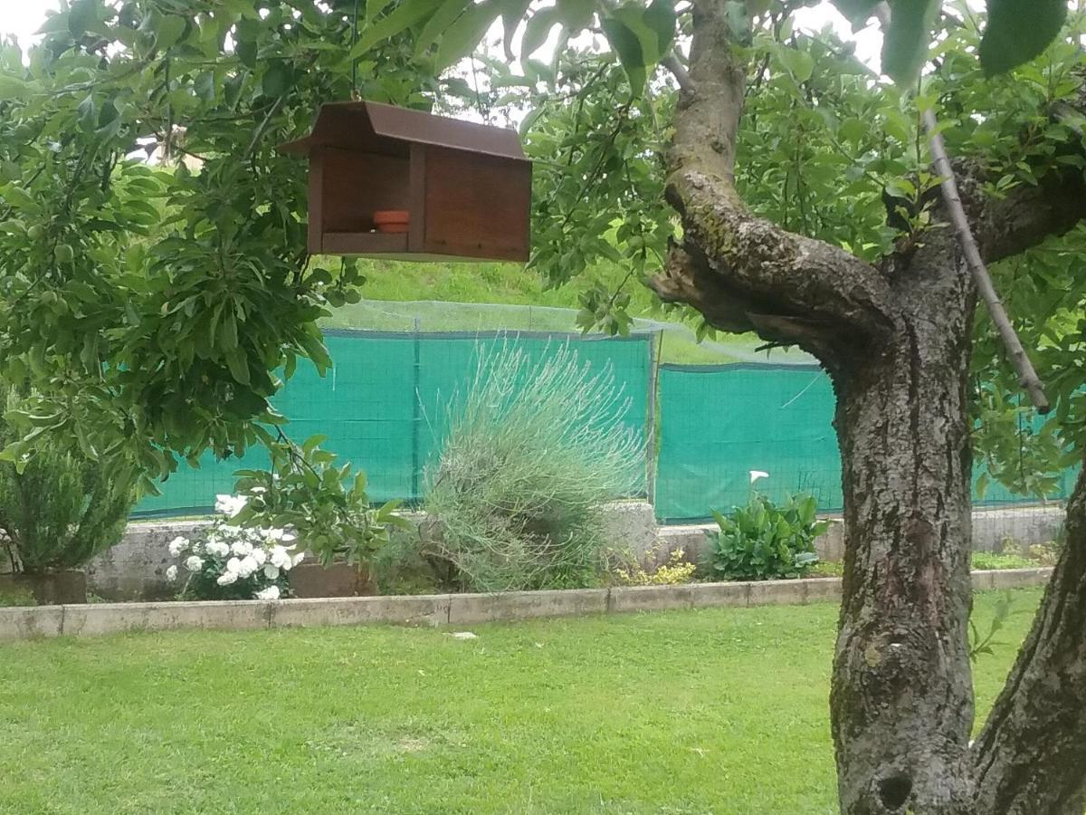 B&B Cuore San Daniele del Friuli Exterior photo